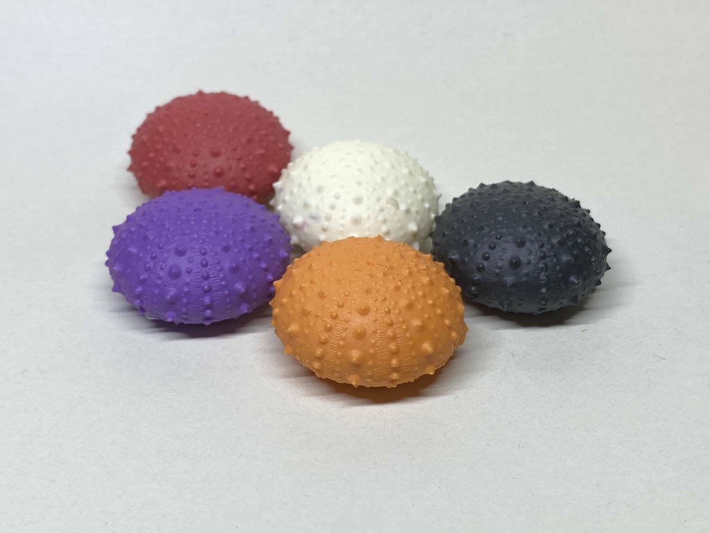 ちいさいウニ殻マスコット