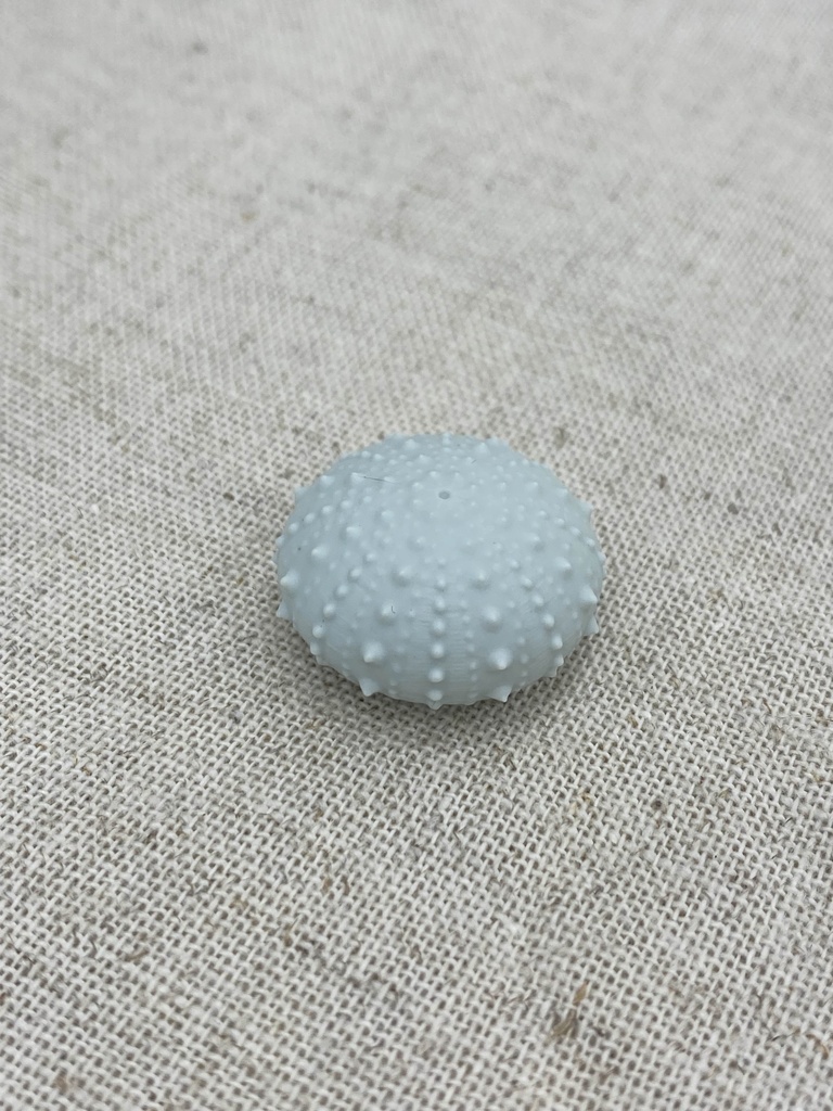 ちいさいウニ殻マスコット