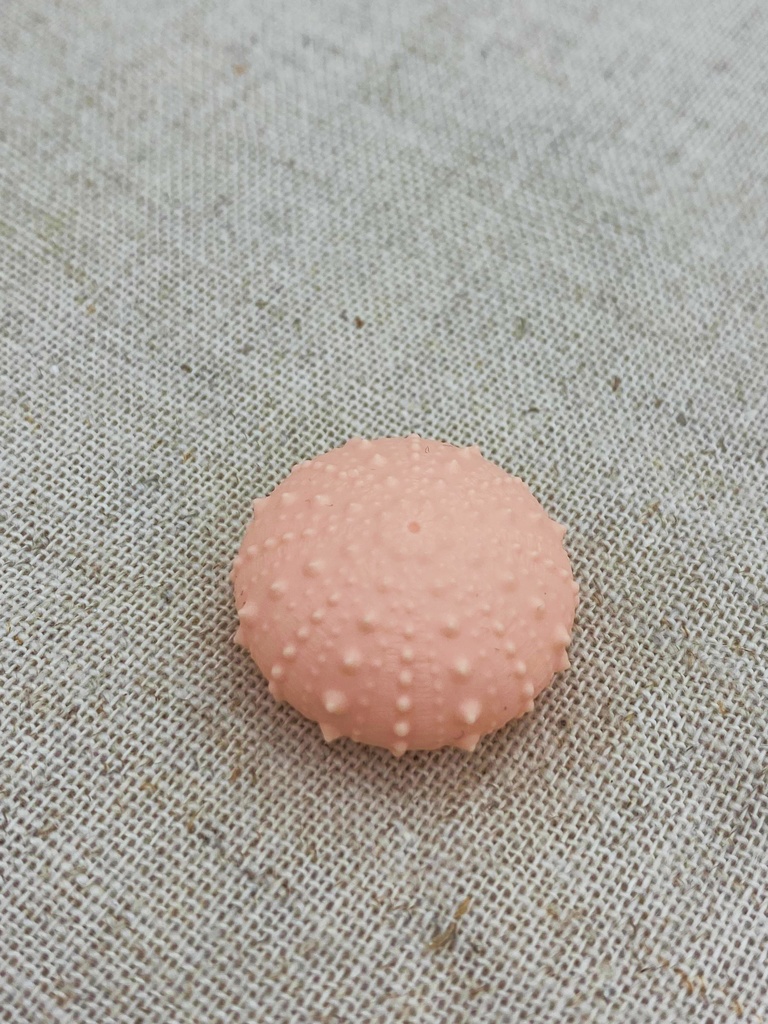 ちいさいウニ殻マスコット