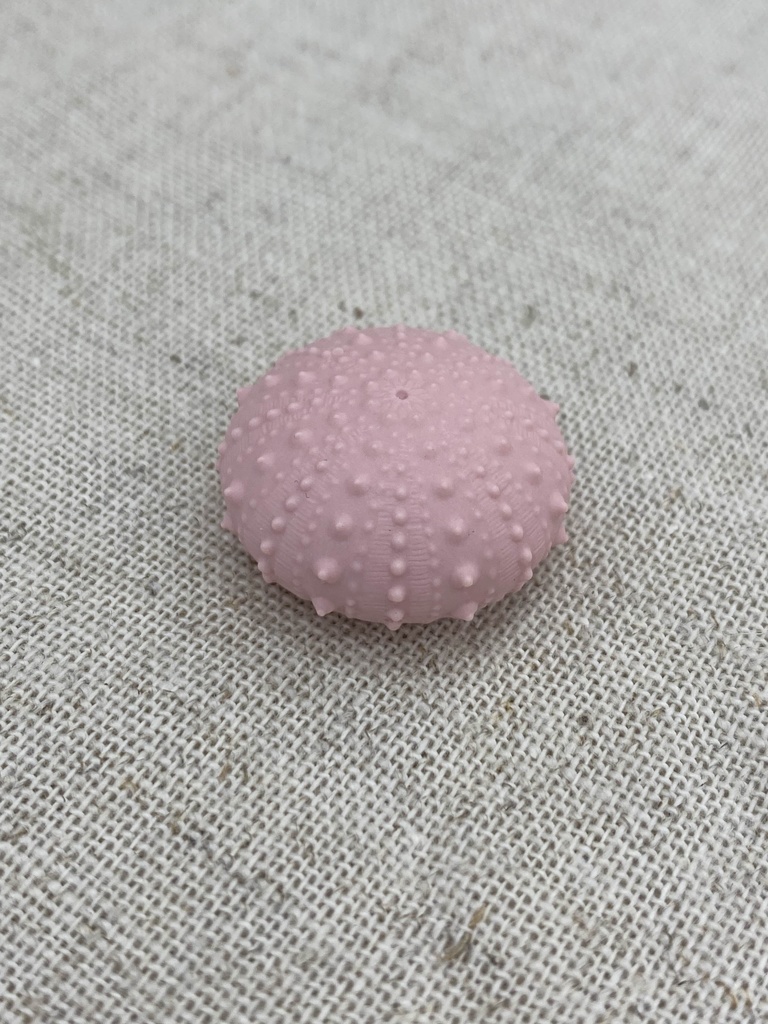 ちいさいウニ殻マスコット