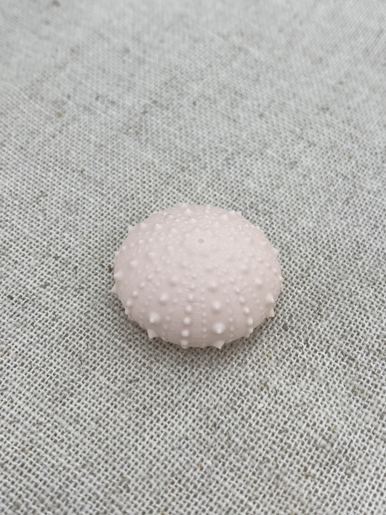 ちいさいウニ殻マスコット