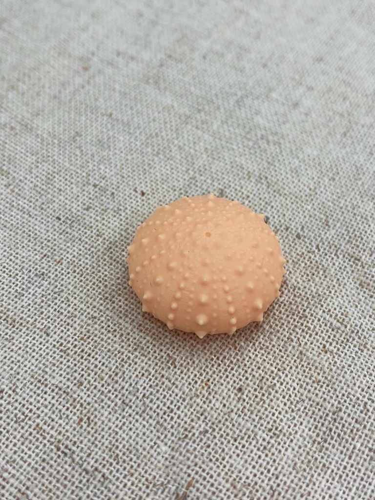 ちいさいウニ殻マスコット