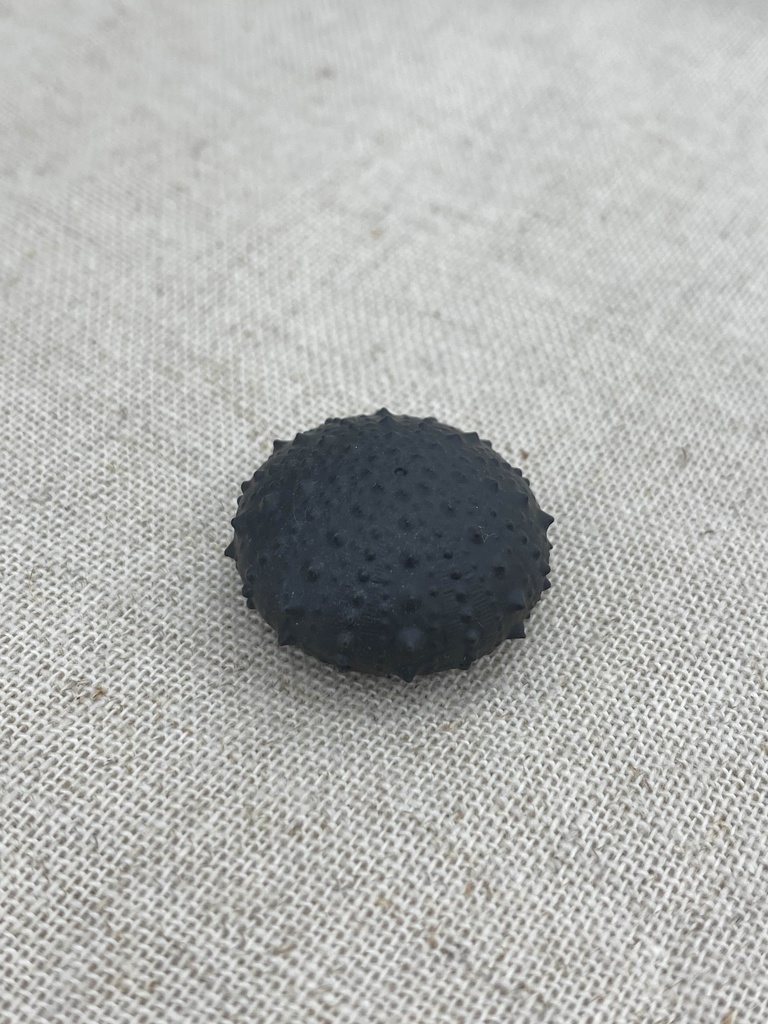 ちいさいウニ殻マスコット