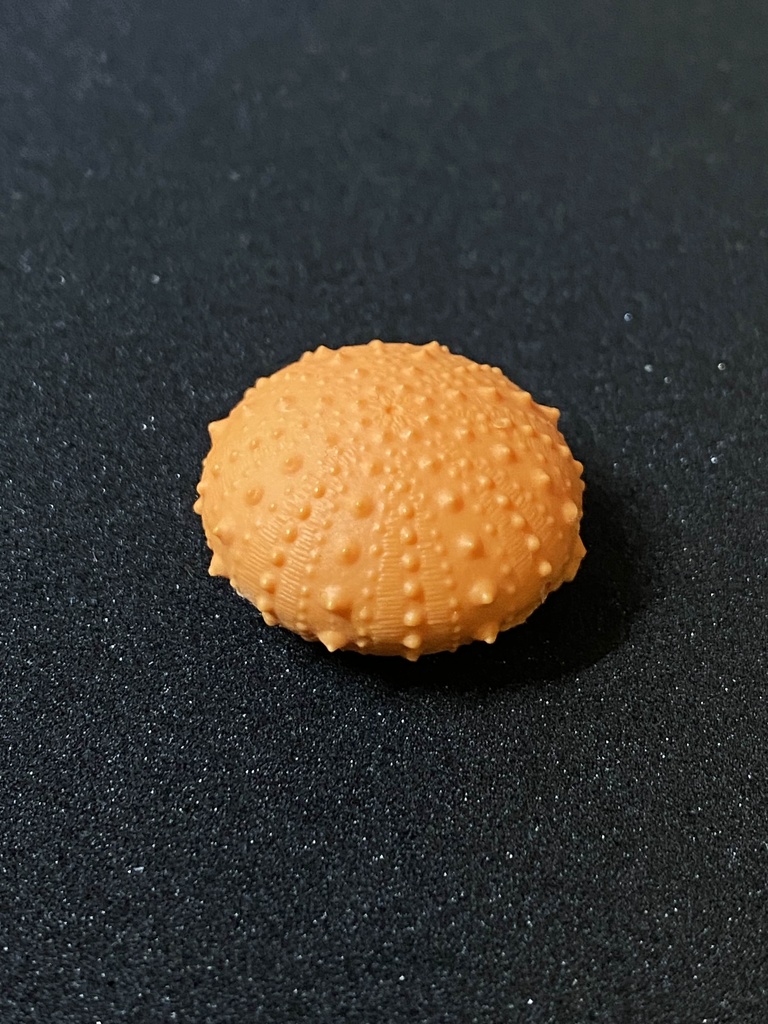 ちいさいウニ殻マスコット