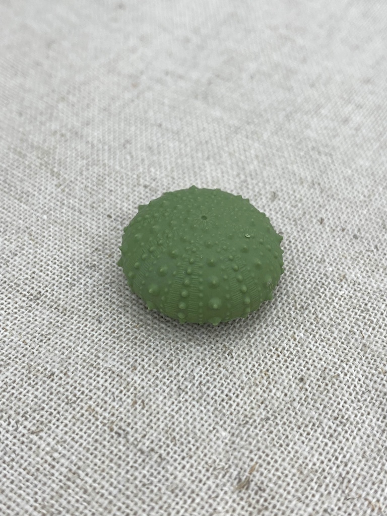 ちいさいウニ殻マスコット