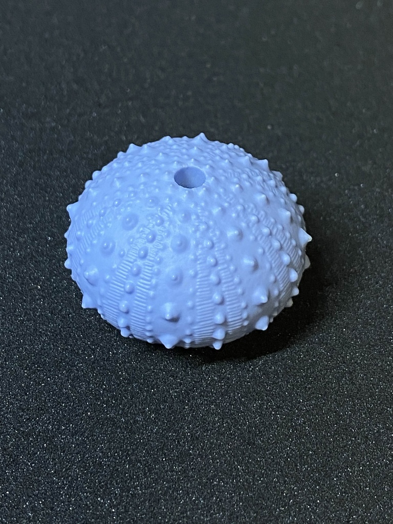 ウニ殻お香たてマスコット