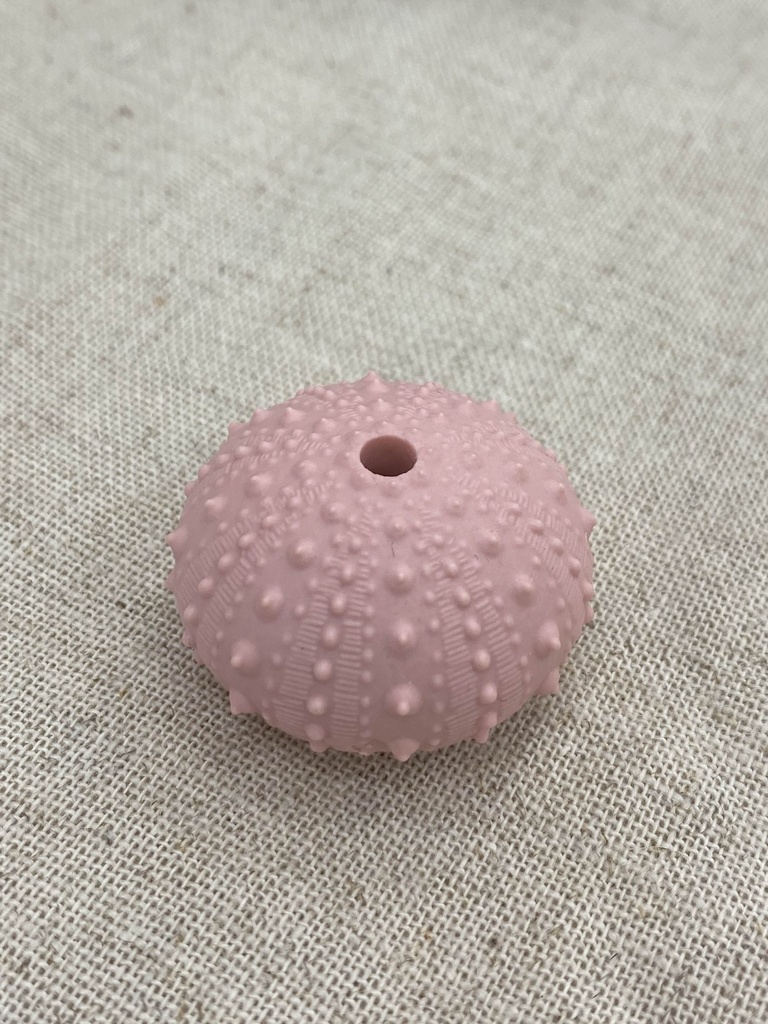 ウニ殻お香たてマスコット