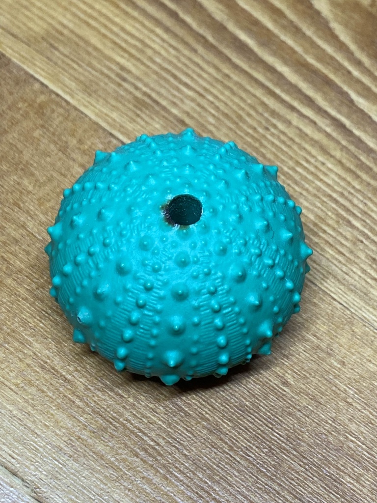 ウニ殻お香たてマスコット