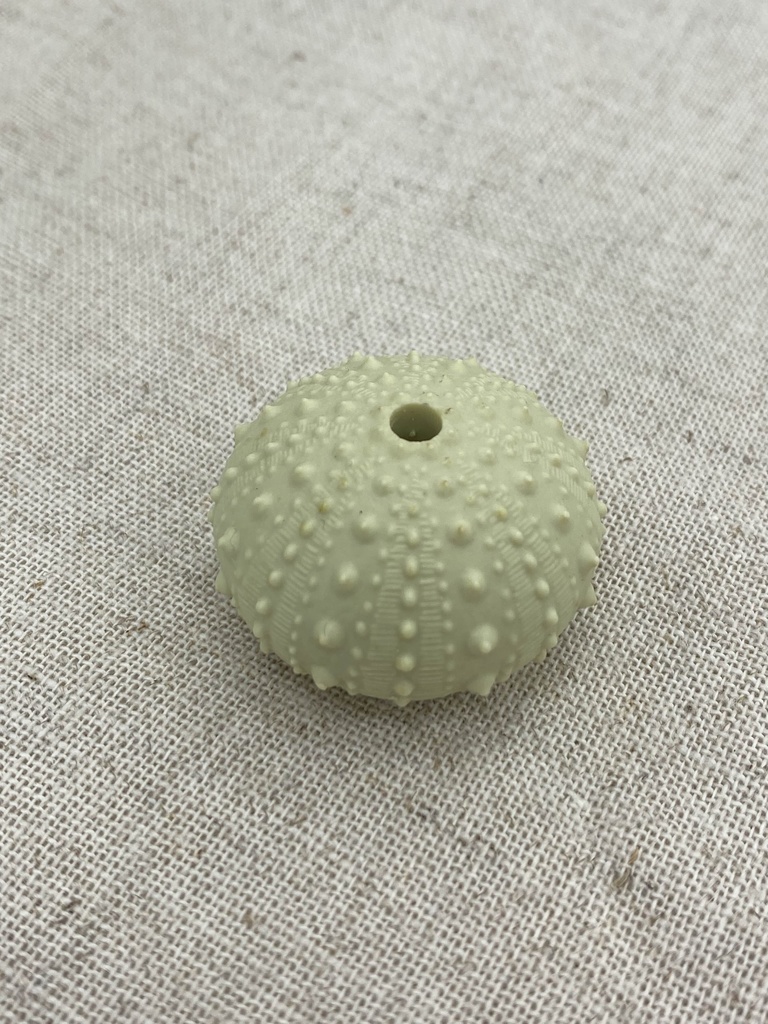 ウニ殻お香たてマスコット