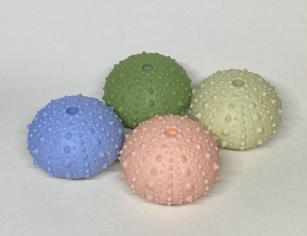 ウニ殻お香たてマスコット