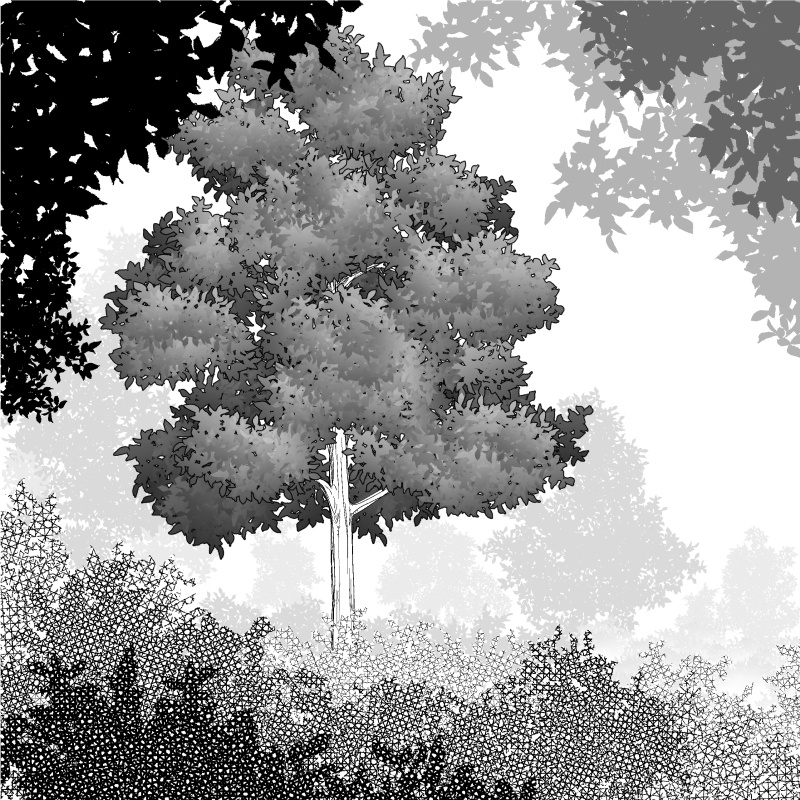 葉っぱブラシセット