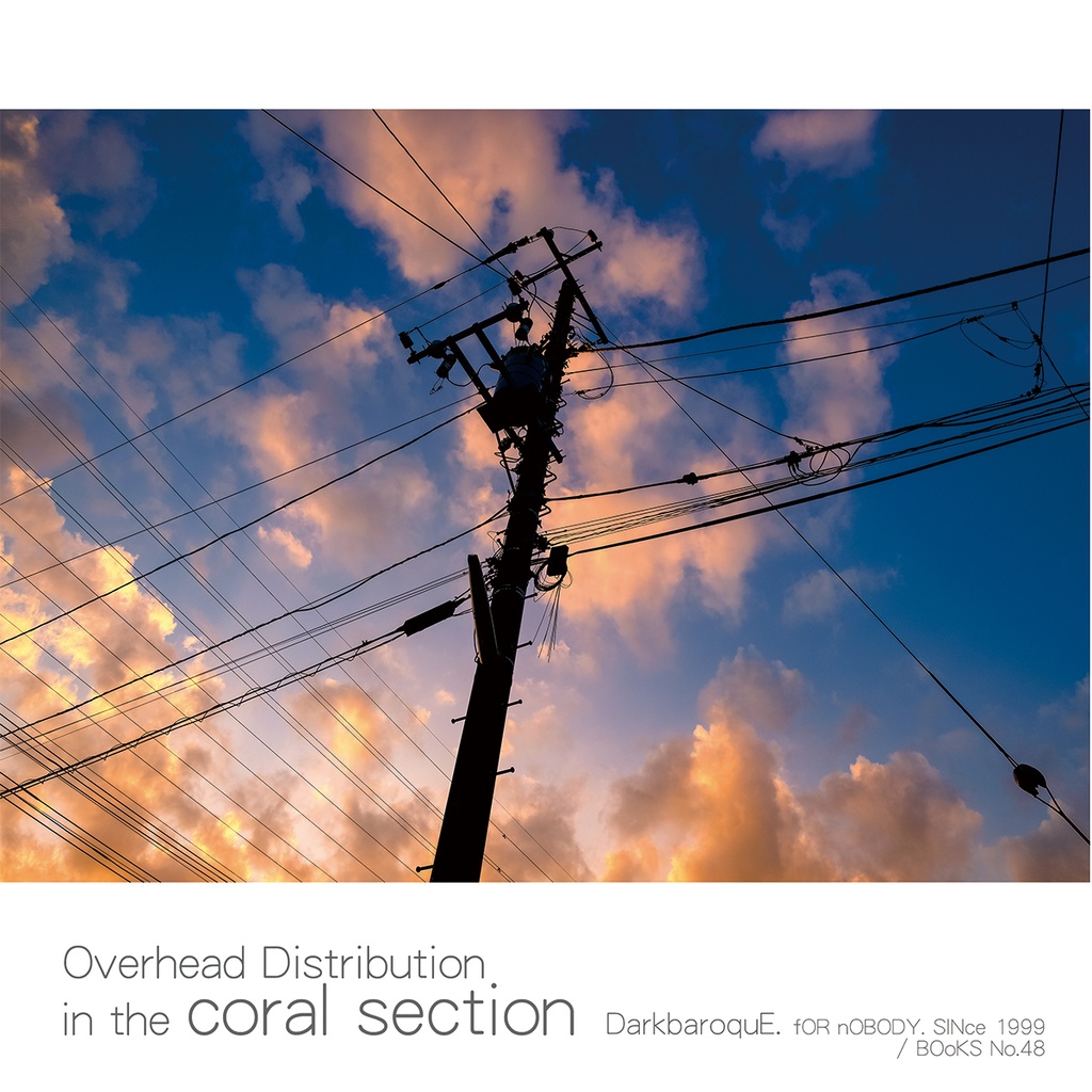 Overhead Distribution in the coral section
