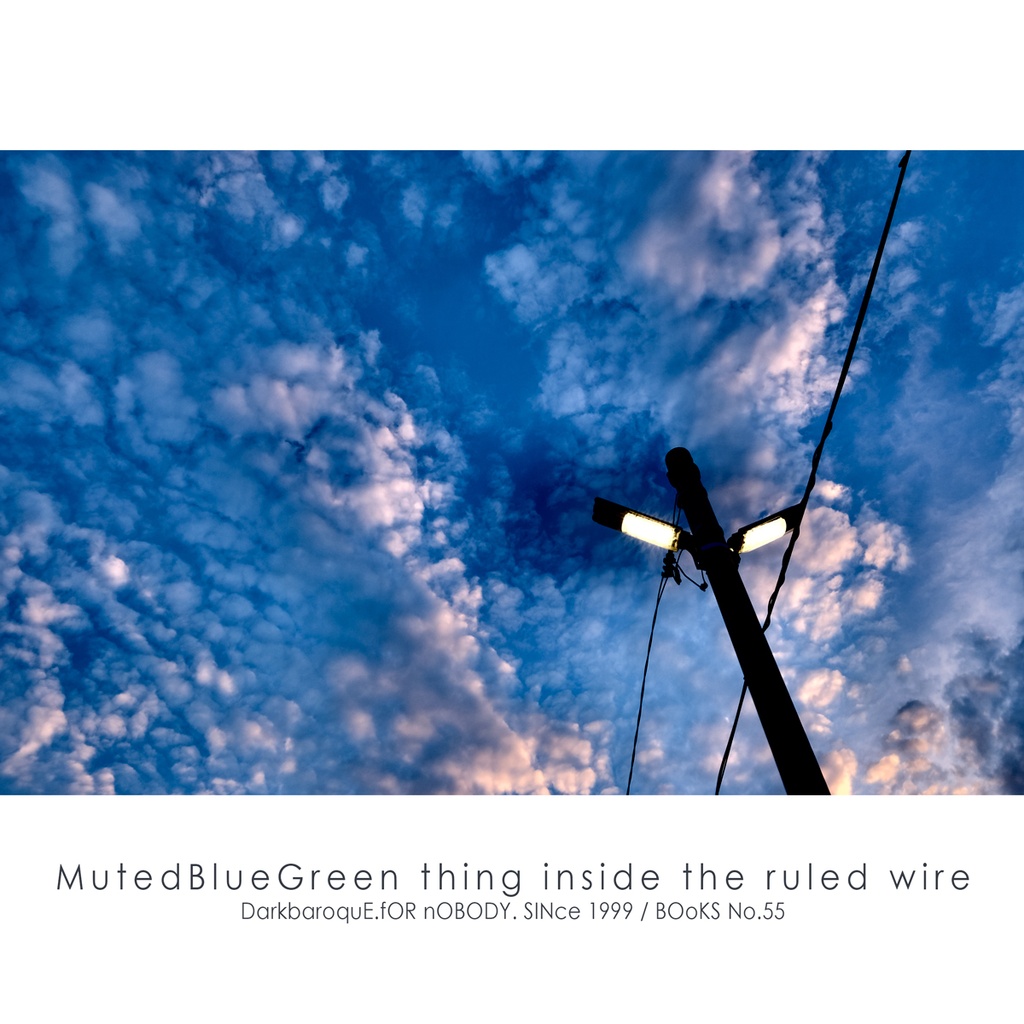 [ MutedBlueGreen thing inside the ruled wire ] 