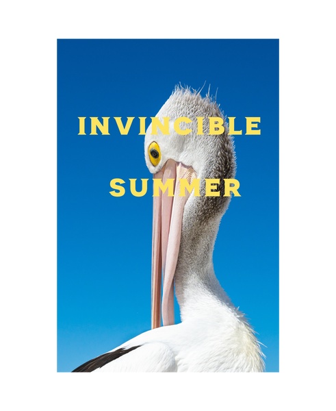 夏っぽいペリカンTシャツ