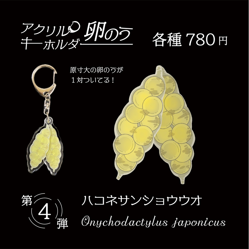 サンショウウオのアクリル卵のうキーホルダー！④ハコネサンショウウオ