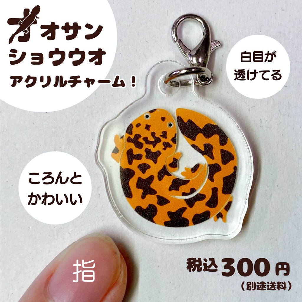 日本固有種オオサンショウウオアクリルチャーム