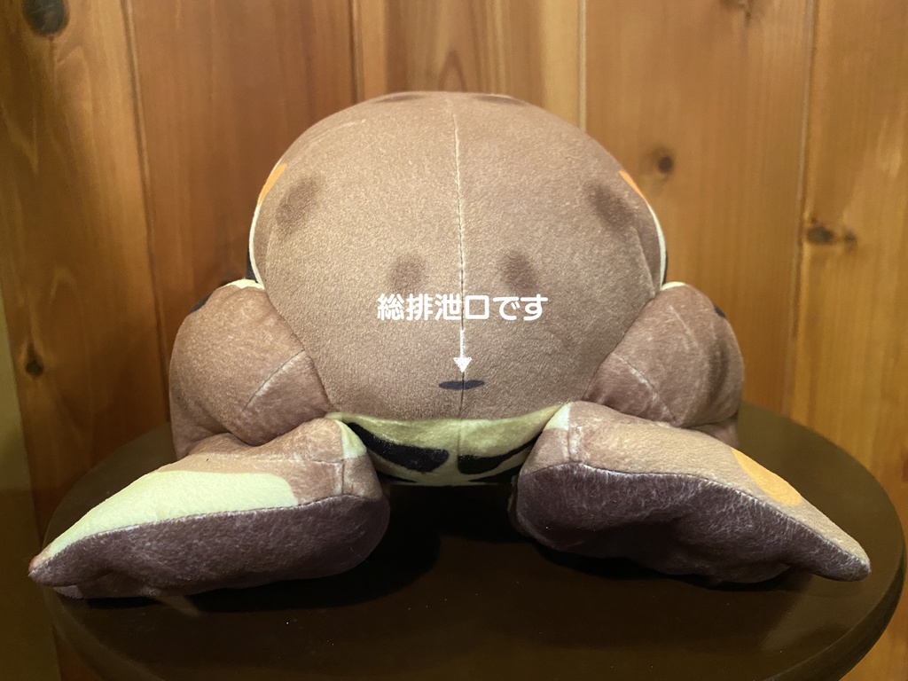 まるでホンモノみたい…ニホンヒキガエルぬいぐるみ