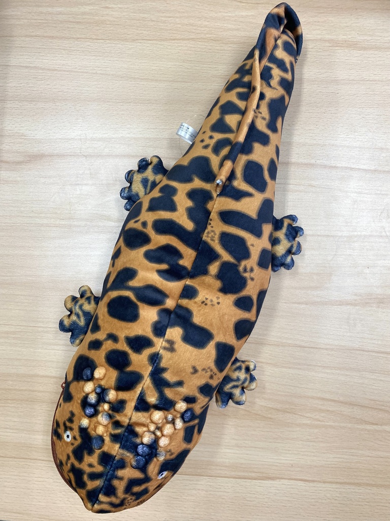 日本固有種オオサンショウウオぬいぐるみ