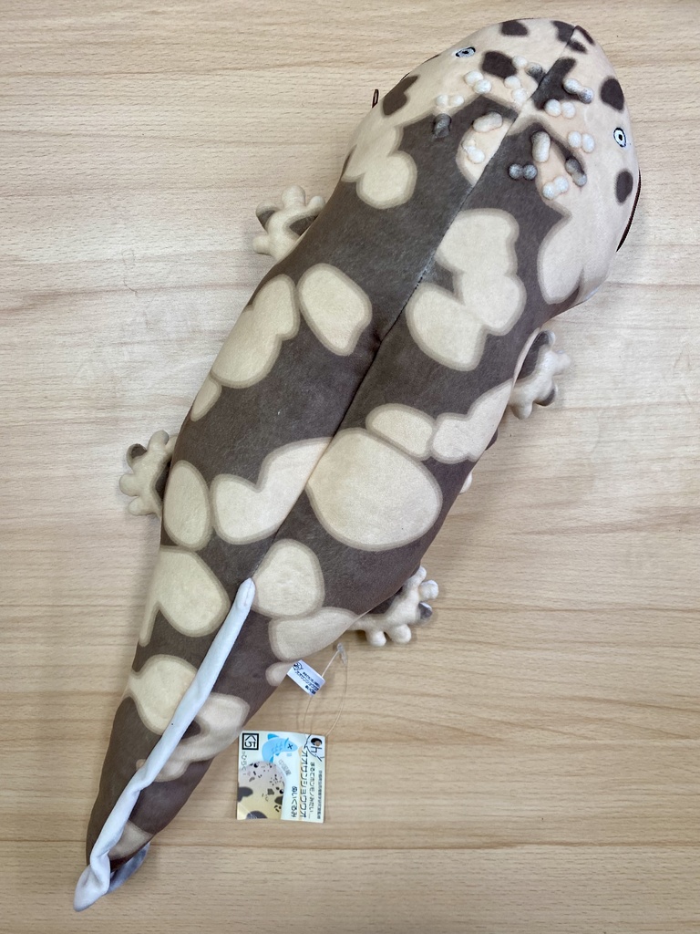 中国産オオサンショウウオぬいぐるみ