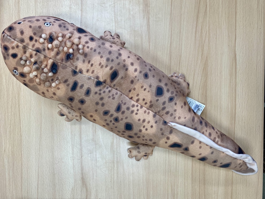 交雑オオサンショウウオぬいぐるみ