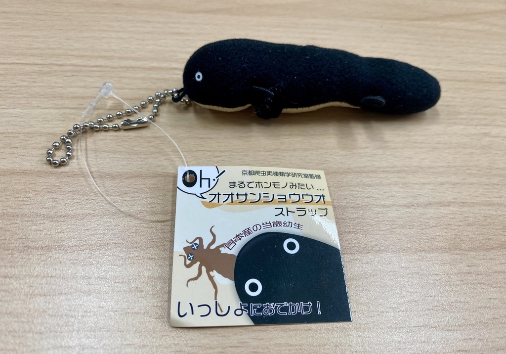 日本固有種オオサンショウウオの当歳幼生ストラップ