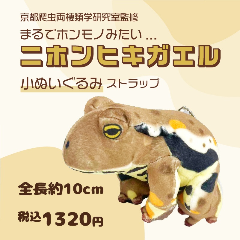 ニホンヒキガエル小さいぬいぐるみストラップ！