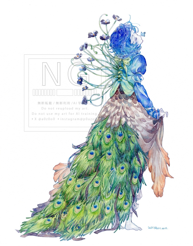 「Peacock」ポストカード