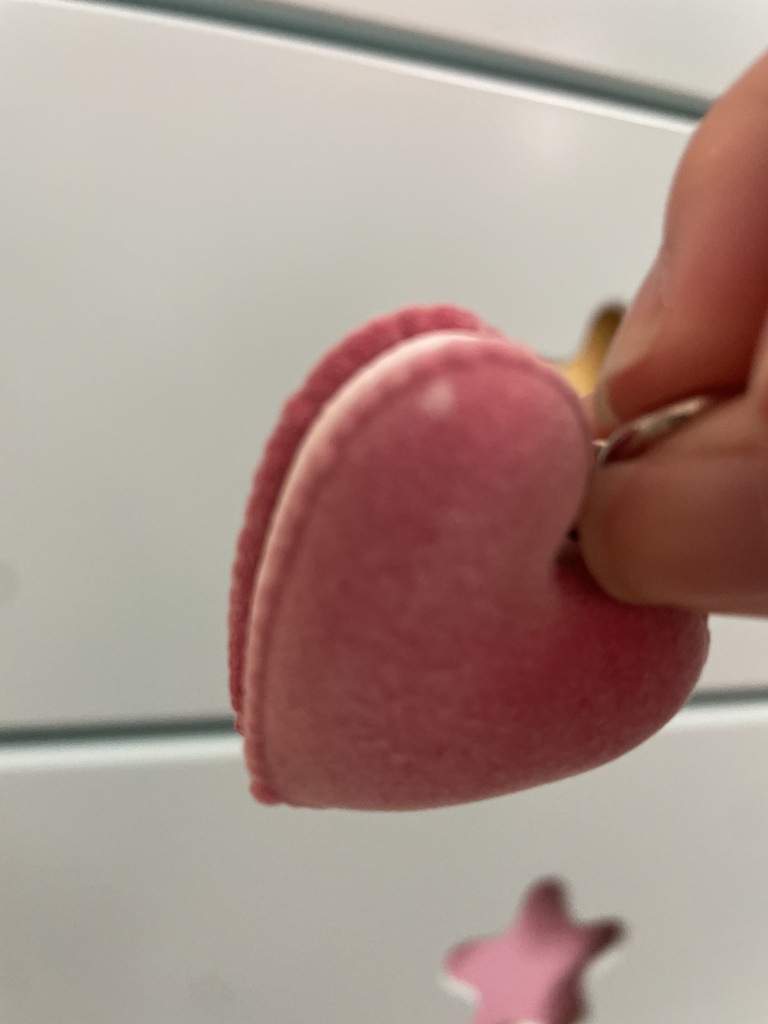 【二次創作】りこちのちみどろ心臓(ハート)マカロン