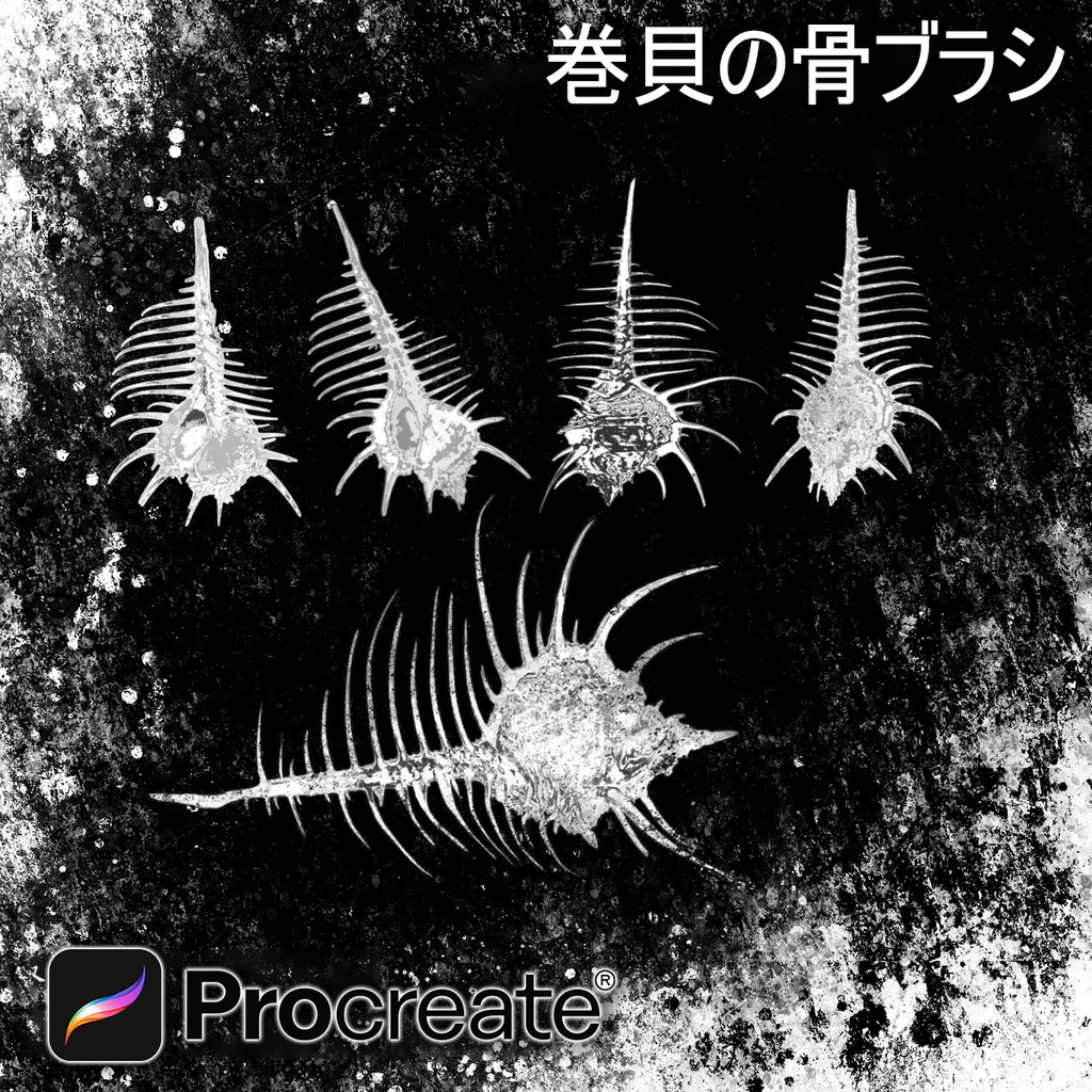 Procreateで使える巻貝の骨ブラシ 5本セット