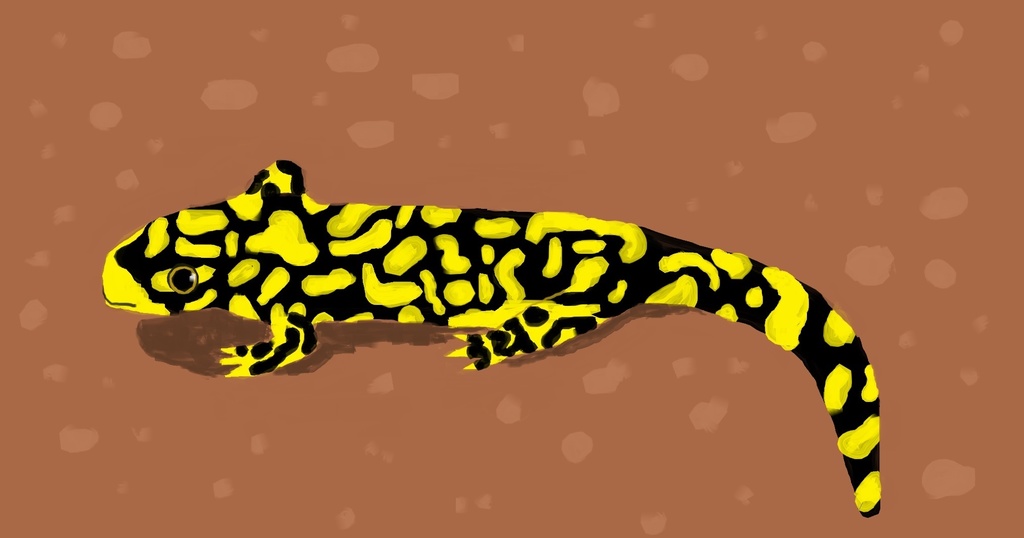 タイガーサラマンダーバッグ