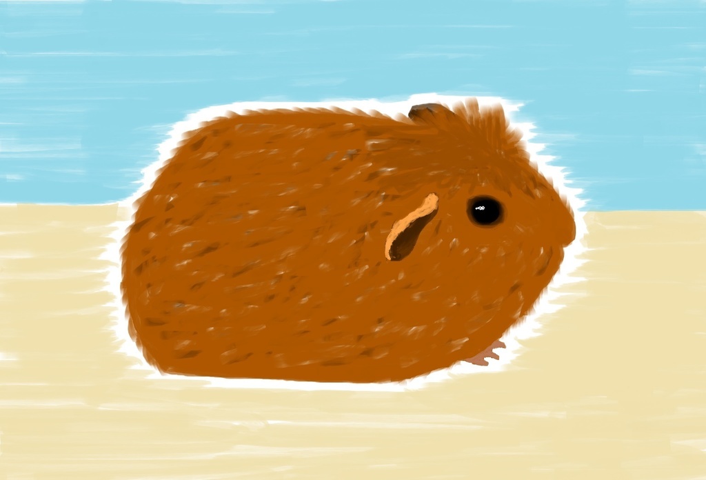 モルモットパスケース