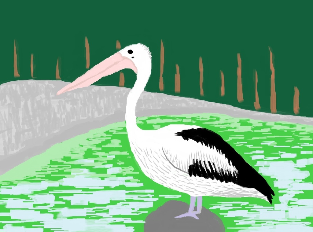 コシグロペリカンバッグ