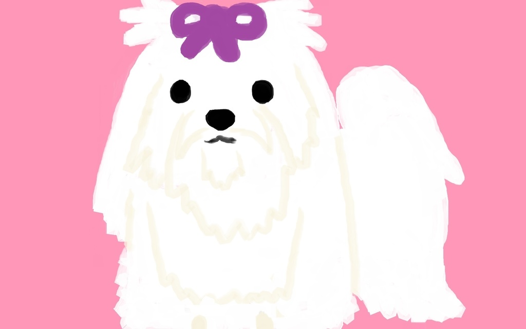 マルチーズバッグ