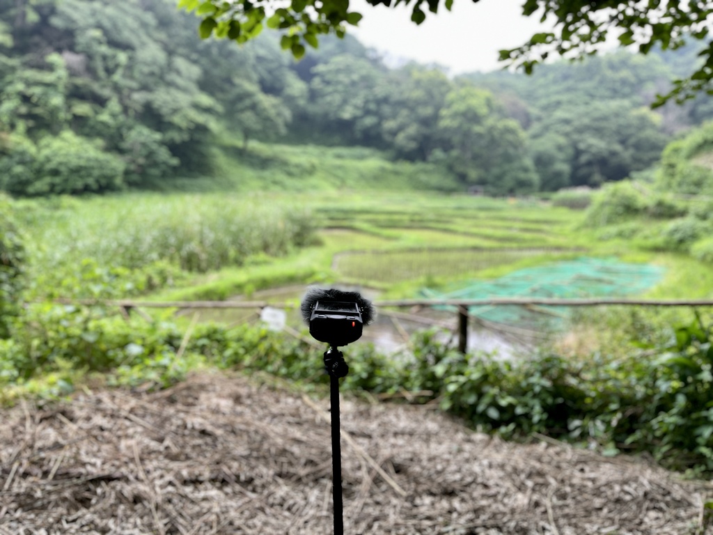 鎌倉中央公園 - 雨 04:43pm（HPL2 バイノーラル）