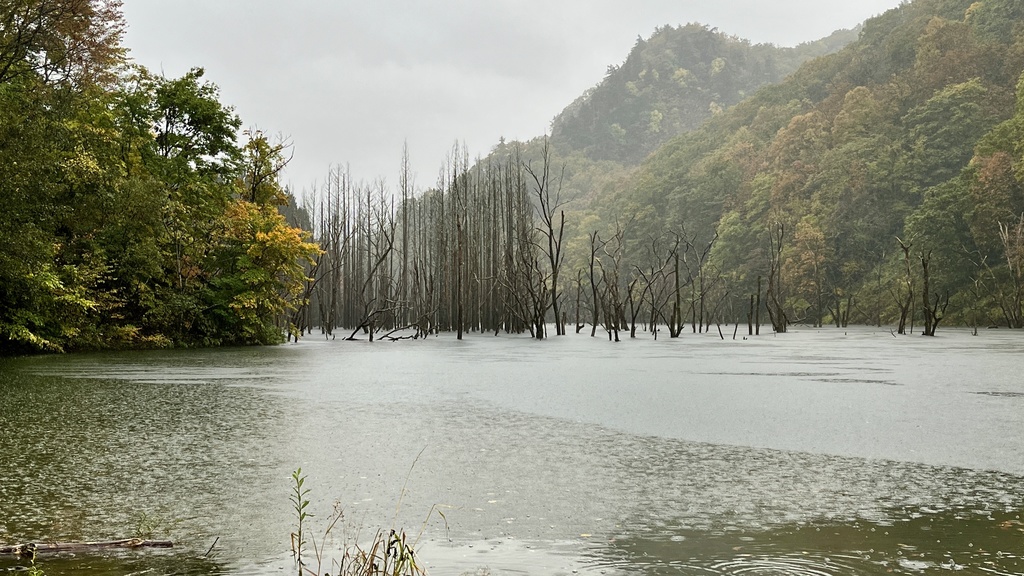 2021020 11:03am 雨、美山湖 (HPL2 バイノーラル)