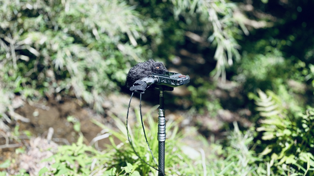 20240601 10:43am 長沼公園 (HPL2 バイノーラル)