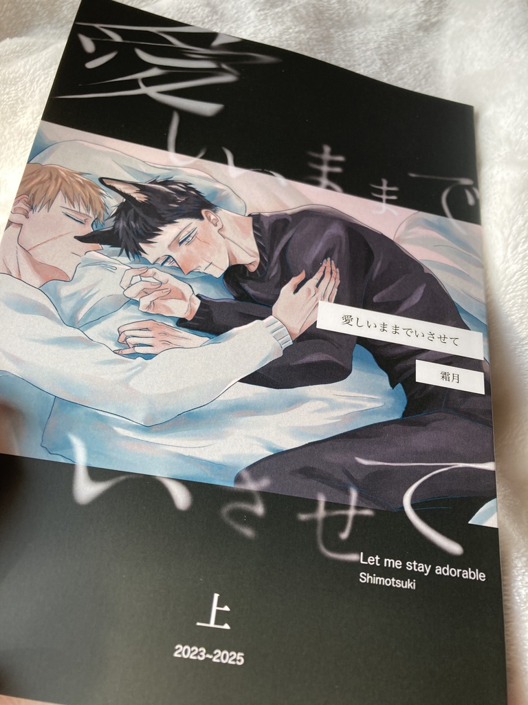 愛しいままでいさせて(上)