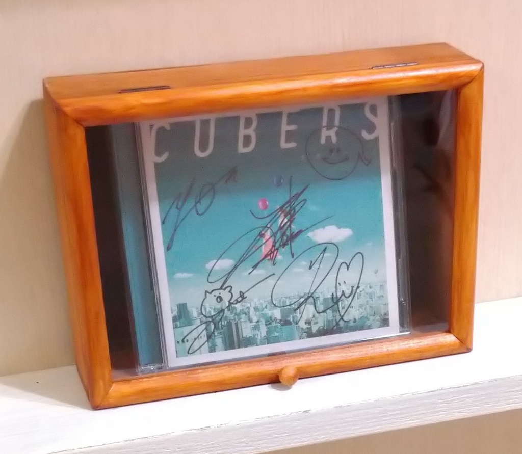 【送料無料】マグネット式ディスプレイケース