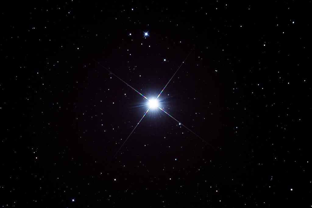 Procyon