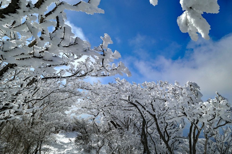 フラチェスカの雪踊り