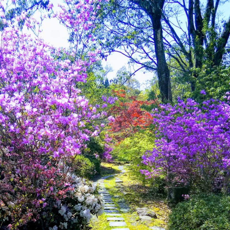 春の庭園