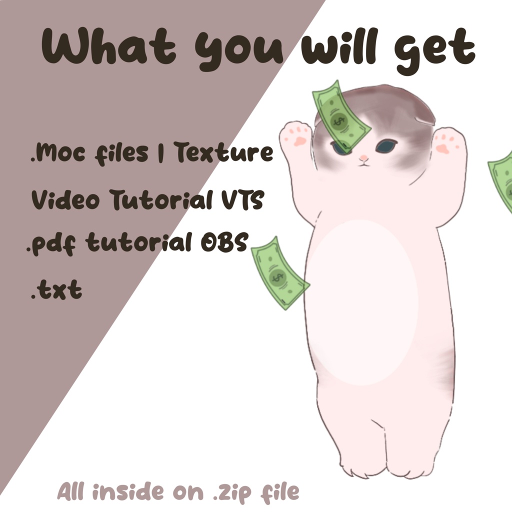 Belly Dance Cat Premade Vtuber Model, Ready To Use Vtuber Model, Vtuber Model and Rigging, Premade Vtuber for Twitch and Youtube | Live2D