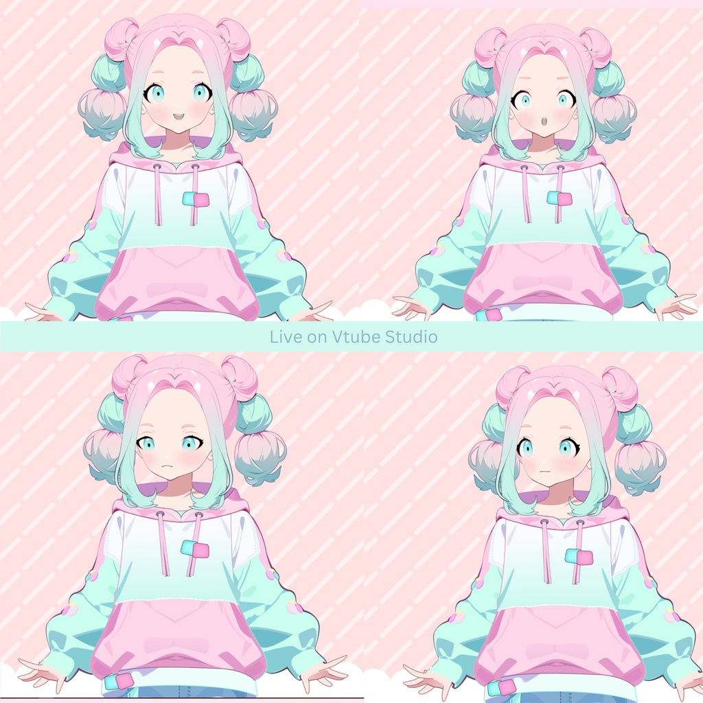 Pastel Girl Vtuber Model Premade, Ready To Use Vtuber Model, Vtuber Model and Rigging, Premade vtuber for Twitch and Youtube, 2d vtuber