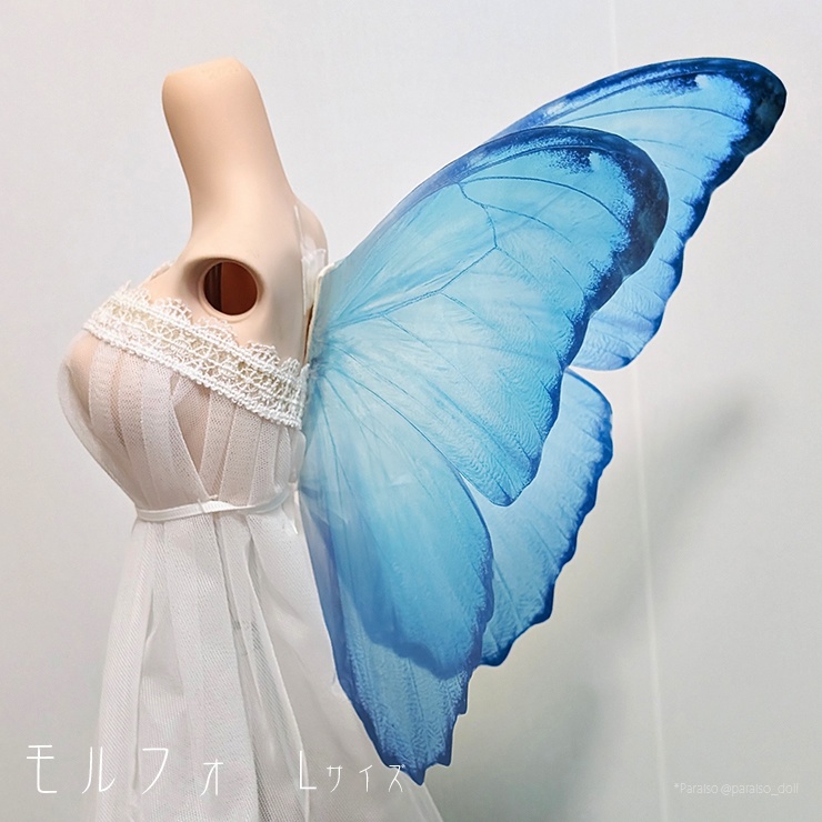 蝶の羽根 モルフォ系 S+/M/L