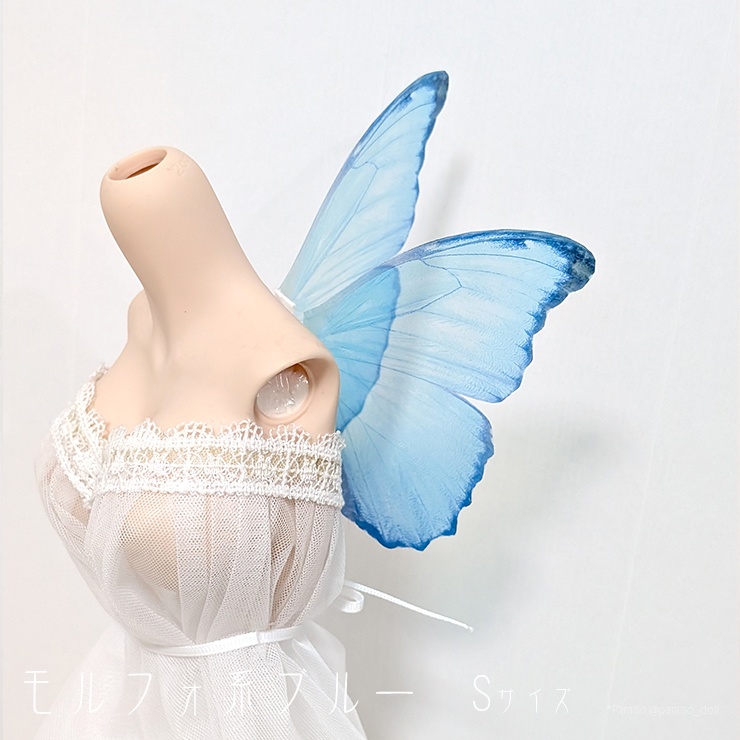 蝶の羽根 モルフォ系 S+/M/L