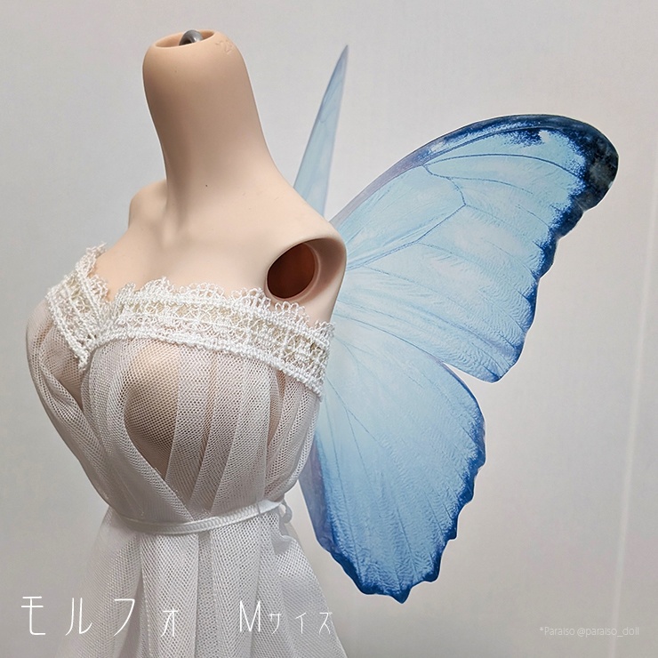 蝶の羽根 モルフォ系 S+/M/L