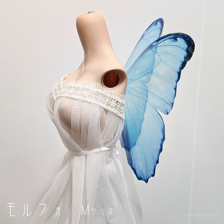 蝶の羽根 モルフォ系 S+/M/L