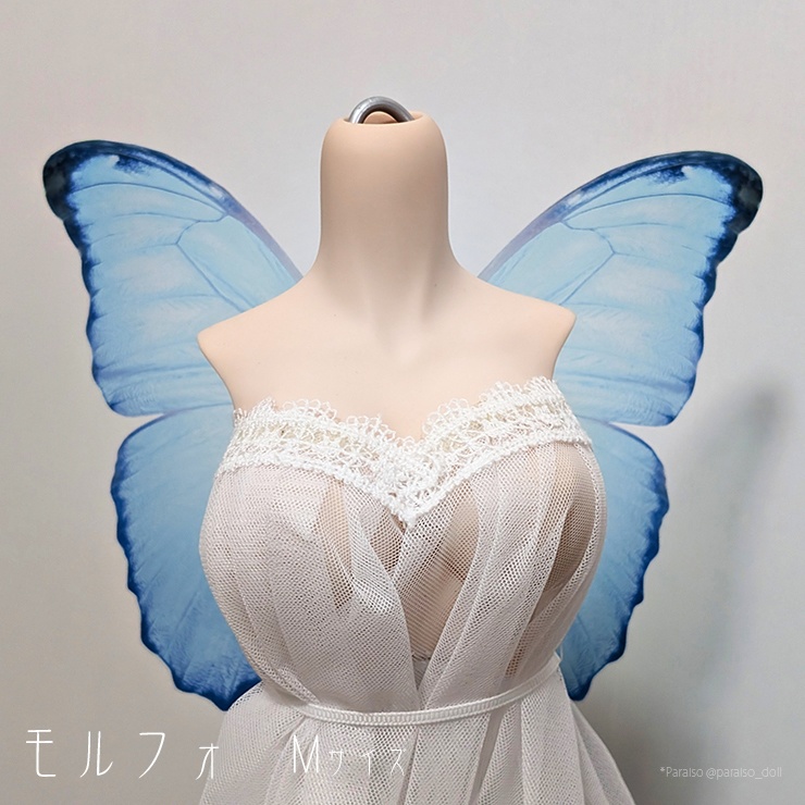 蝶の羽根 モルフォ系 S+/M/L