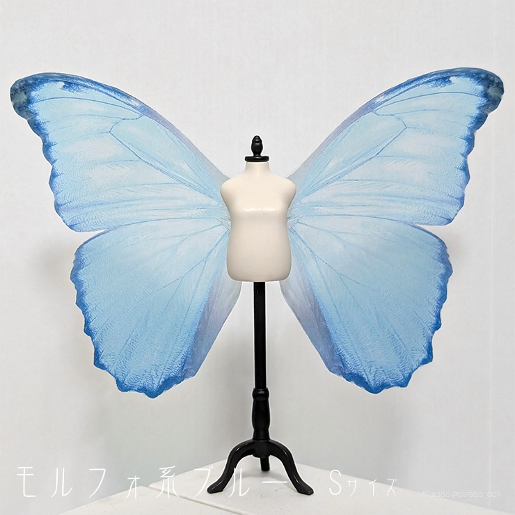 蝶の羽根 モルフォ系 S+/M/L