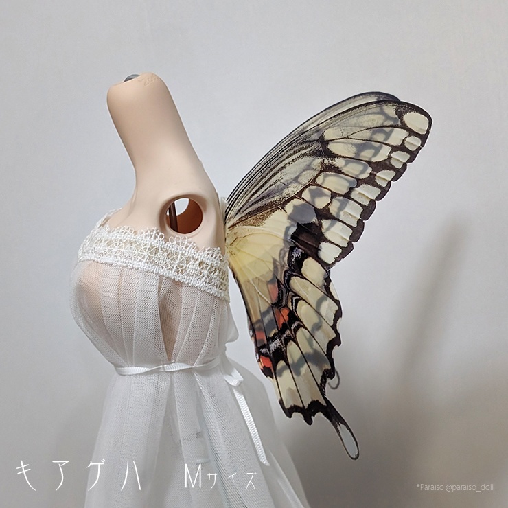 蝶の羽根 キアゲハ S+/M/L